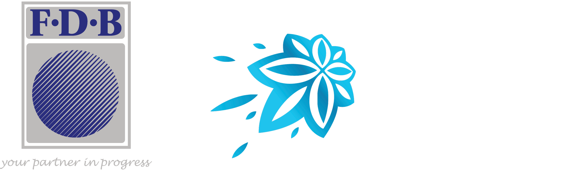 FDB Fiji Excellence in Tourism Awards 2026 logo